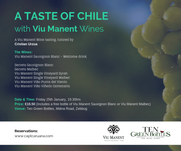 Viu Manent wine tasting