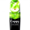 cappy apple juice 100cl