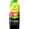 cappy peach juice 100cl