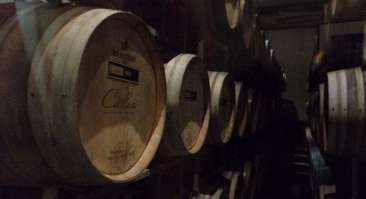Bodegas-Callia-Argentina-Wines-cellar