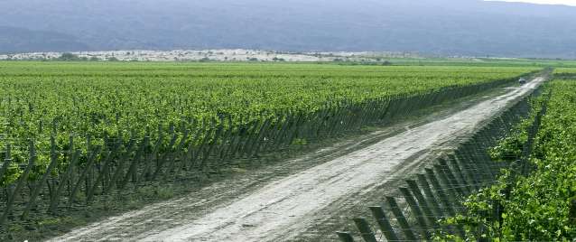 Bodegas-Callia-Argentina-landscape-andes-mountains