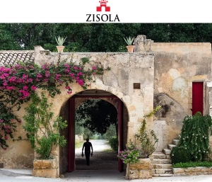 Read more about the article Mazzei Zisola is now organic certified
