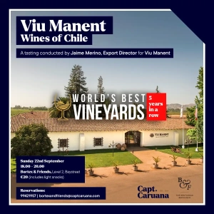 Read more about the article Viu Manent Wine Tasting Event